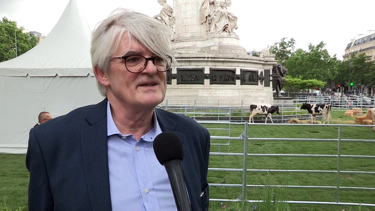 Des vaches à Paris pour montrer aux citadins « ce qu’est la filière laitière »