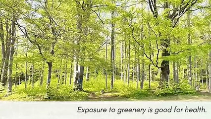 Healthy habits routine.