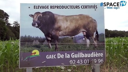 Passionné des Parthenaises, Jérôme Gasté (53) prépare le concours national