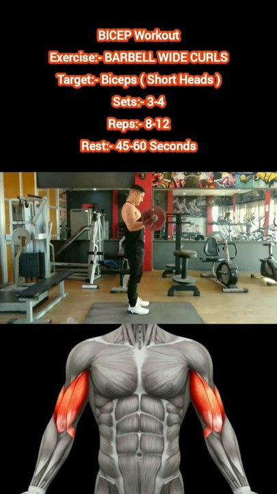 ❌ BARBELL WIDE CURLS ✔️  How can I get Bigger BICEPS?  #heermlgangaputra #naturalbodybuilding #workout #exercise #fitness #gym #muscle #training