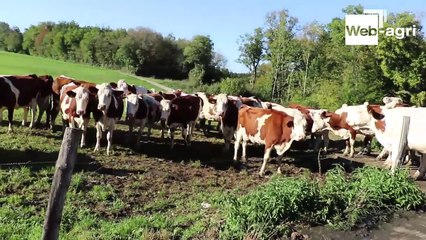 Camille Marguet (25) : « Les vaches sont traites 6 mois de l’année au pâturage »