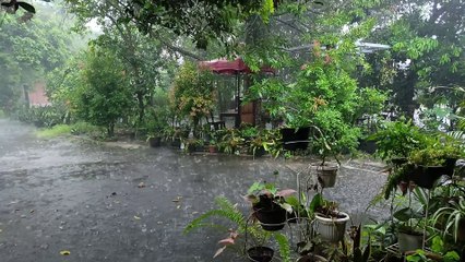 Raining hard