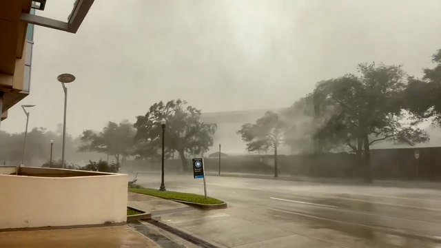 Hurricane Beryl: Video shows trees swaying due to strong winds