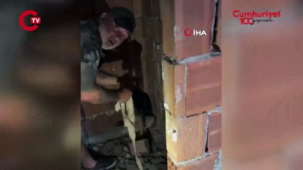 Ankara’da 15 köpek ölü bulundu