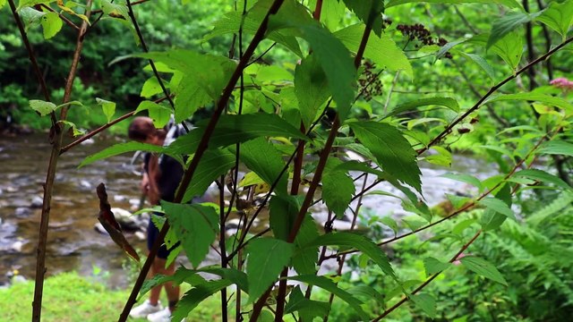 ASMR Solo Beauty Camping- Bathing in an icy mountain river- Outdoor Cooking- Relaxation