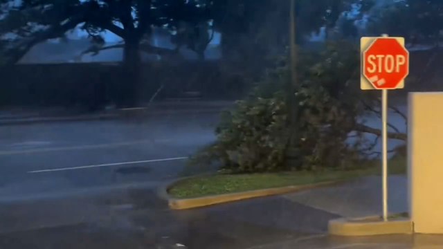 Hurricane Beryl: Video shows strong winds and trees down as storm hits Texas