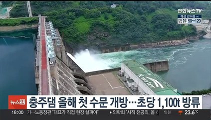 장맛비에 충주댐 올해 첫 수문 개방…초당 1,100t 방류