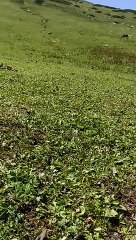 Beautiful place tourist place