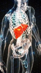 Revolutionize Your Health with Liv Pure- Say Goodbye to Fatigue & Belly Fat!