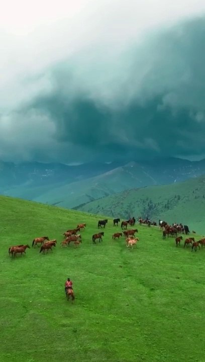 da beautiful green land