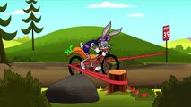 Looney_Tunes_Presents__Sports_Made_Simple__Mountain_Biking___@wbkids(1080p)