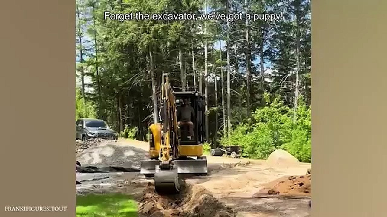 FUNNY_PUPPIES_that_will_make_you_LAUGH__Funny_Animals_Videos_2024(360p)