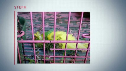 Deadly Influence S01E05 Hashtag Halloween Horror