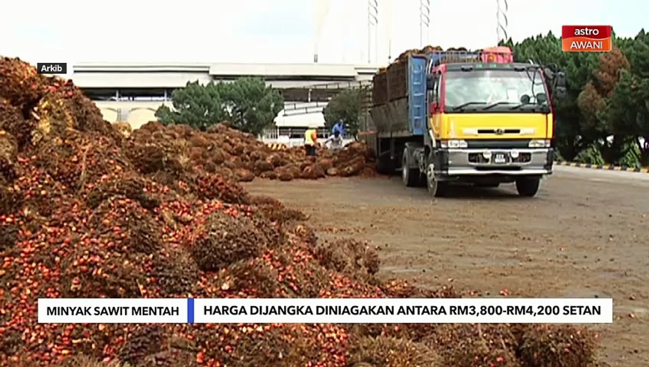 Niaga AWANI: Harga minyak sawit mentah dijangka diniagakan antara RM3,800 dan RM4,200 setan
