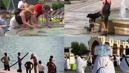 June 2024 hottest year on record, beating 2023 high