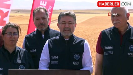 Bakan Yumaklı, yerli buğday tohumlarının hasadına katıldı