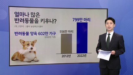 "댕댕이랑 어디까지 가봤어?" 반려견과 템플스테이 [앵커리포트] / YTN