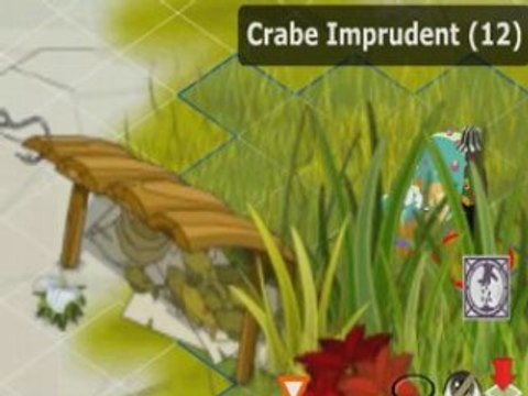 Dofus Eca feu Proteccteur d'Incarnam.