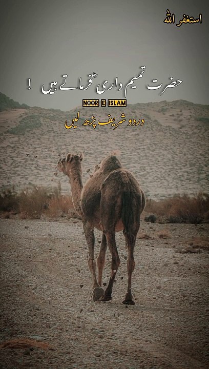 NABI PAK ﷺ kay pas ak Oont doorta hova aya| Peer Ajmal Raza Qadri#shorts#nooreislam#islamicshorts