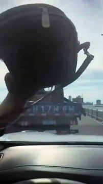 Des militants viennent libérer des chats captifs en pleine autoroute en Chine