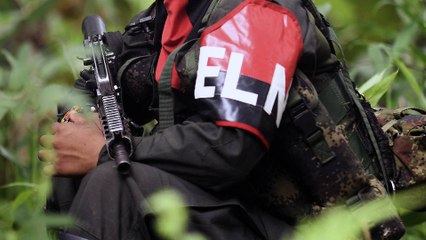 Violaciones al cese el fuego por parte del ELN se cuadriplicaron, según informe del Cerac