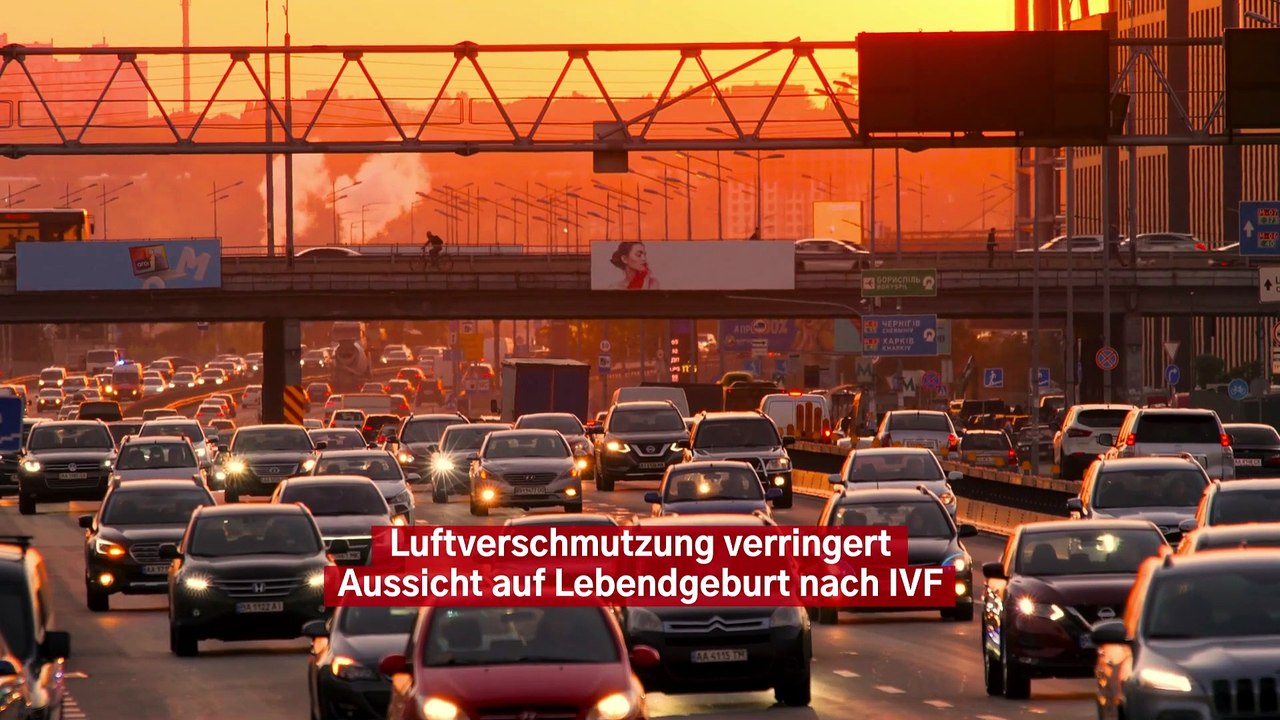 Luftverschmutzung verringert Aussicht auf Lebendgeburt nach IVF