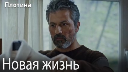 Новая жизнь