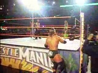 Wrestlemania 24 Entree Triple H