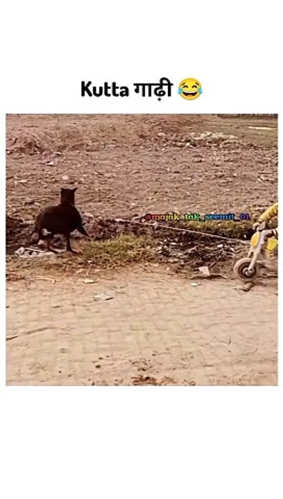 MTS™ _ MAJAK TAK SEEMIT™_ profile picture - 741886321255250(1080p)