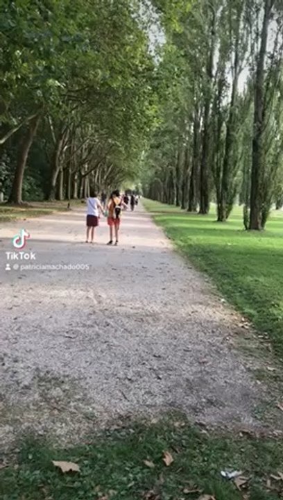 Aqui está meu vídeo mais recente