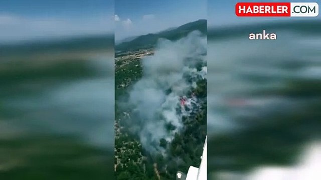 Muğla'nın Bodrum ilçesinde orman yangını çıktı