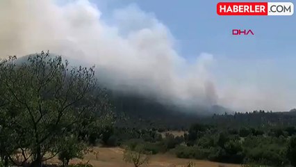 Muğla'da Orman Yangınına Havadan ve Karadan Müdahale