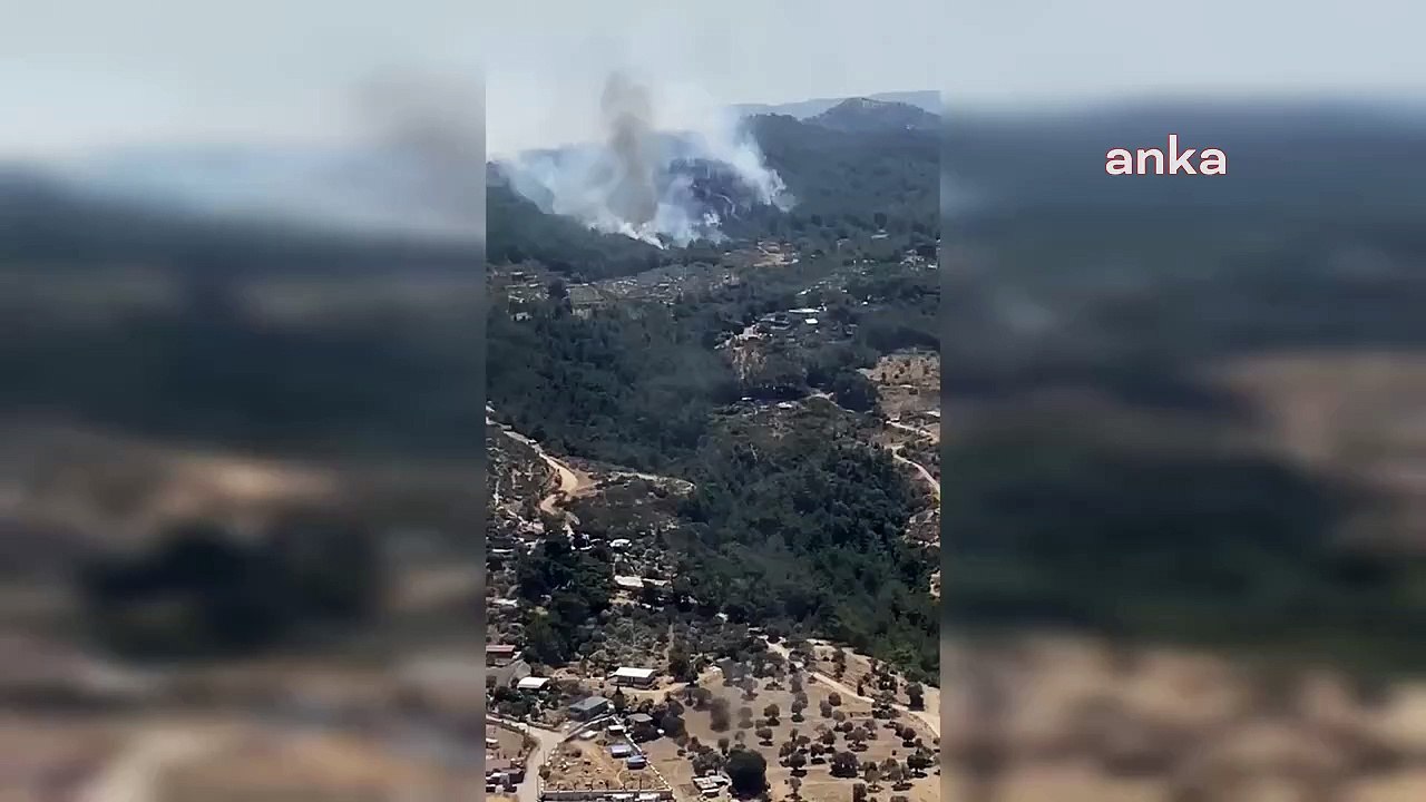 Menderes’te ormanlık alanda orman yangını!