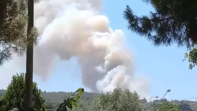İzmir’in Menderes ilçesinde orman yangın