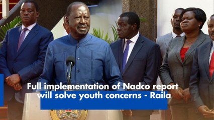 Full implementation of Nadco report will solve youth concerns - Raila