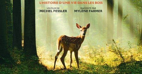 BAMBI, L’HISTOIRE D'UNE VIE DANS LES BOIS - Bande Annonce VF (2024, Documentaire) Mylène Farmer