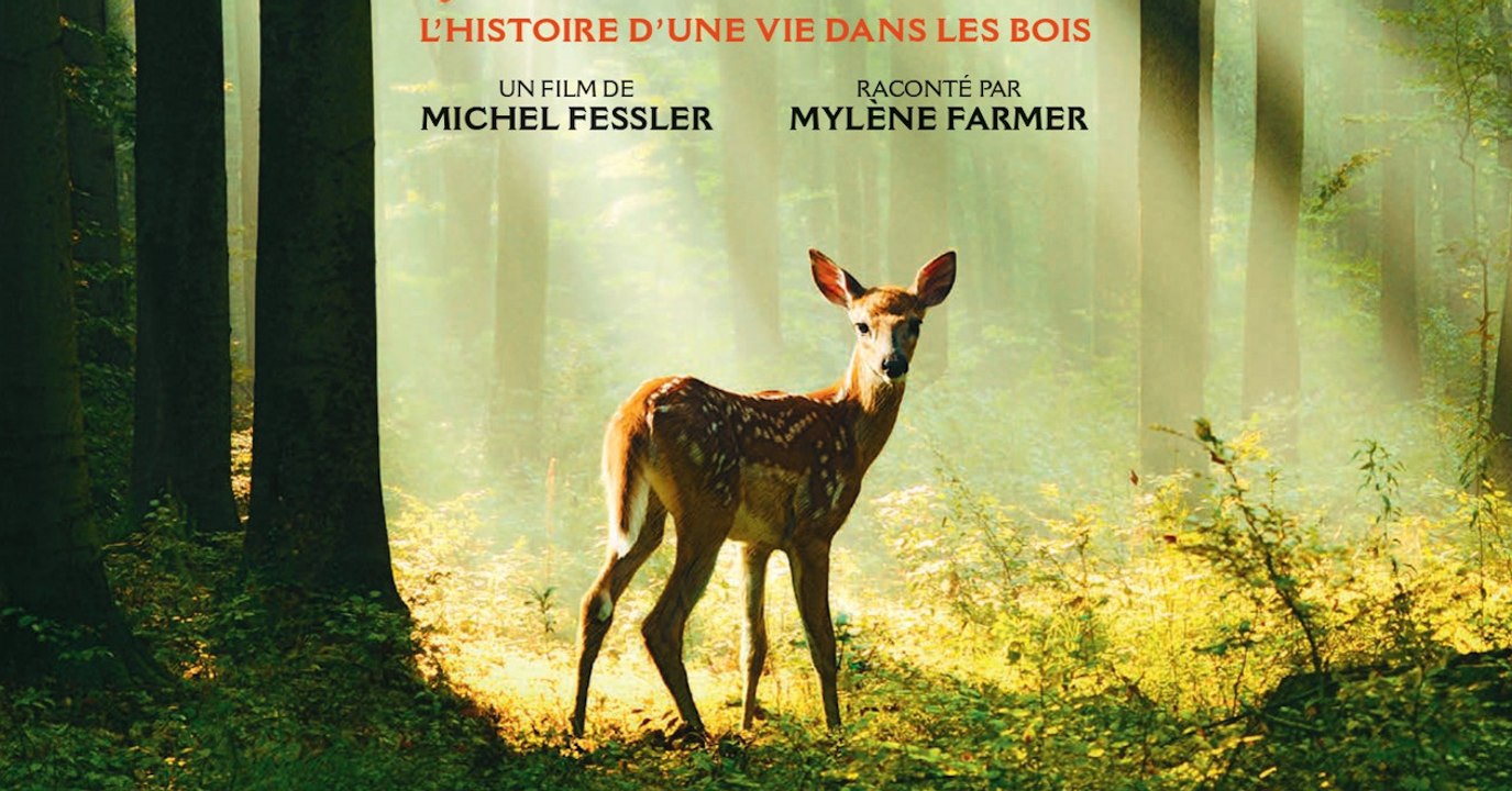 BAMBI, L’HISTOIRE D'UNE VIE DANS LES BOIS - Ban...