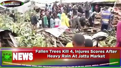 Fallen Trees Kill 4, Injures Scores After Heavy Rain At Jattu Market ~ OsazuwaAkonedo