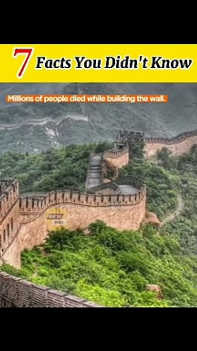 7 facts you didn't know