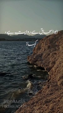 Exploring Sahih Muslim Hadith 24: The Power of Repentance |hadees|hadith|#hadees#hadith#guidance