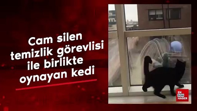 Cam silen temizlik görevlisi ile oynayan kedi