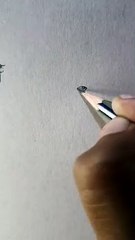 Pakistani actress Sarah khan sketch