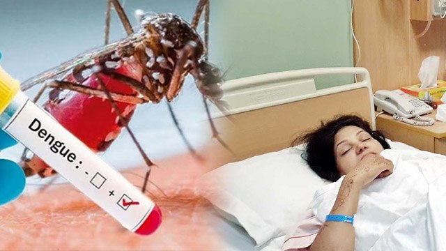 Dengue Recovery Time : Dengue Patient Recover Time Kya Hai | Dengue Kitne Din Me Theek Hota Hai