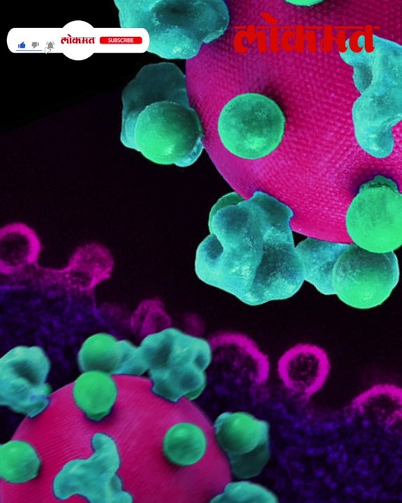 AIDS कायमचा संपणार? अभ्यासकांकडून समोर आली मोठी अपडेट..