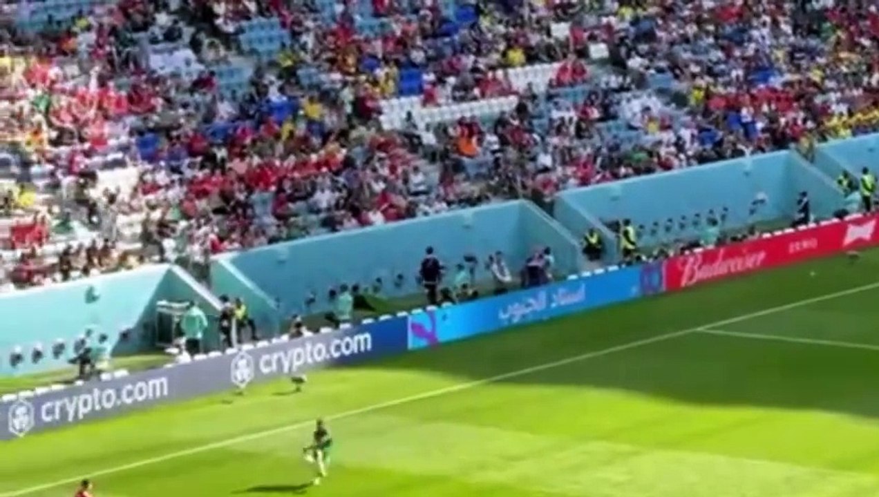 Fifa World Cup 2022 Qatar Live Videos #fifa #fifaworldcup2022