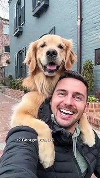 Ever since Ellie was a puppy, she's loved the camera so a few years ago we started taking selfies and working on smile Here are the top 7 selfies of 2023