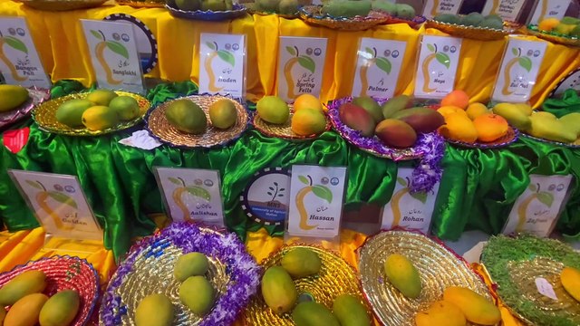 Mango Festival 2024 in Centaurus Mall | Mango Festival | Islamabad | Vlog | Pakistan Vlog