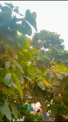 Today weather / beautiful view / happy Rim Jim/ aj ki sham /garmi hoi dur/ Thandi Thandi Hawa /