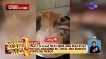 Gimik ng isang fur parent kasama ang kanyang mga alagang pusa, pinusuan online | Dapat Alam Mo!