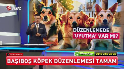 Beyaz Ana Haber 9 Temmuz 2024